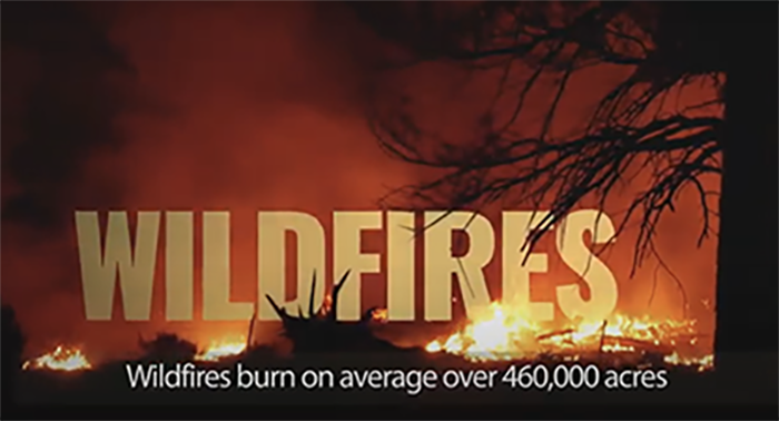 Burning forest wildfire) and a play button to watch/listen to a video about Wildfires